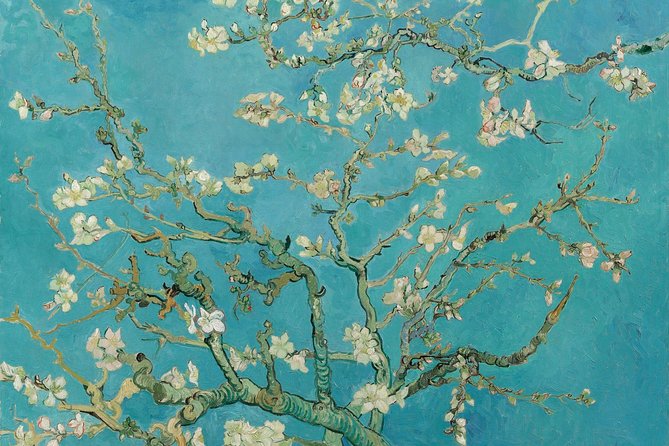 Van Gogh Museum Amsterdam 75 Min Blue Boat Canal Cruise - Subtopic 2: Canal Cruise