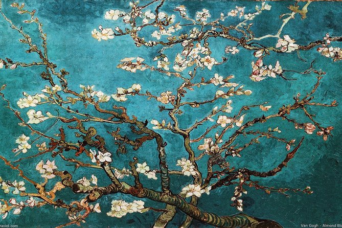 Van Gogh Museum - Exclusive Guided Museum Tour (Reserved Entry Included!) - Customer Reviews