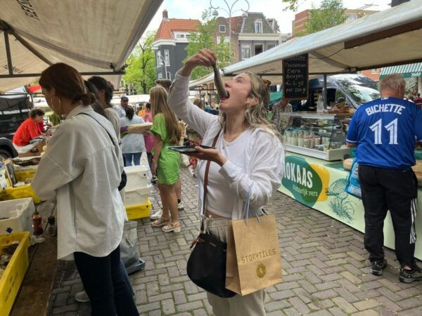 Van Gogh Museum, Rijks Museum & Walking Tour - The Sum Up