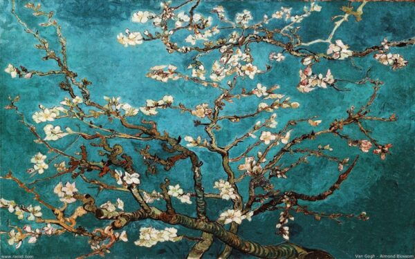 Van Gogh Museum & Rijksmuseum: Timed Entrance & Guided Tour - Common Questions