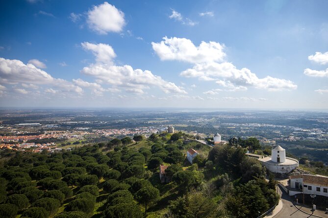 Van Private Tour Arrábida Wine Tour - Winemaking History