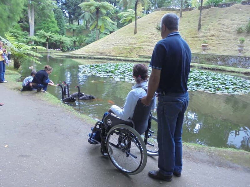 Van Tour Furnas (Full Day) - Exploring Lagoa das Furnas