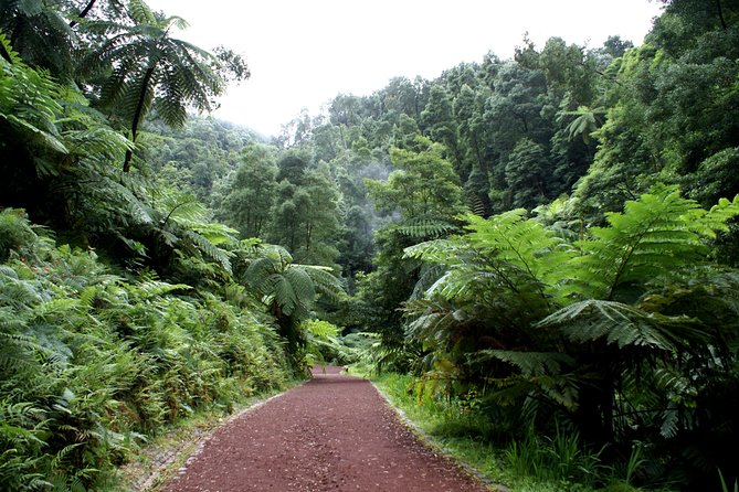 Van Tour Sete Cidades Lagoa Do Fogo Full-Day - Full-day Itinerary