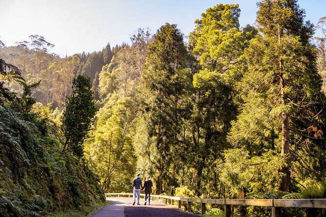 Van Tour Sete Cidades Lagoa Do Fogo Full-Day - Tips for Travelers