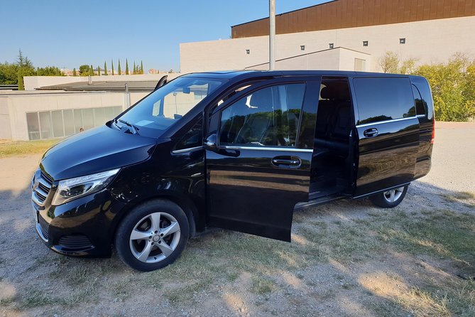 Van Tour With Professional Driver/Guide - Common Questions