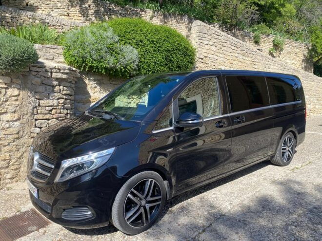 VAN Transfer, VAN Tour , Private Driver - Professional Driver Expertise