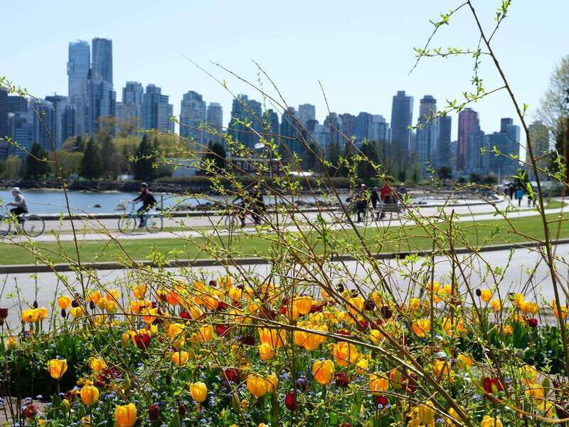 Vancouver: 24 or 48-Hour Hop-On Hop-Off Trolley Tour Pass - Insights from Reviews