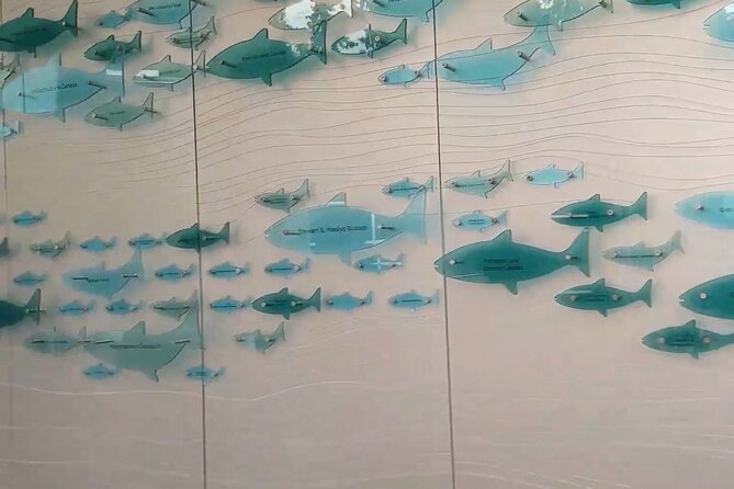 Vancouver AquariumTickets - Ticket Options and Pricing