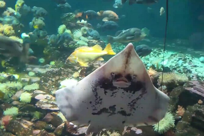 Vancouver AquariumTickets - Tips for Planning Your Visit