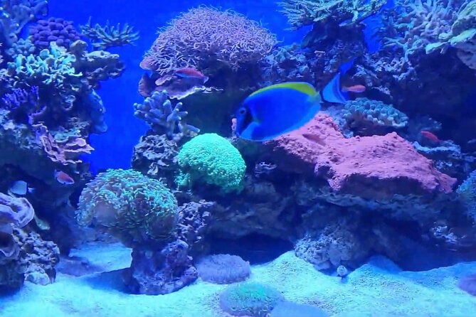 Vancouver AquariumTickets - Booking Vancouver Aquarium Tickets