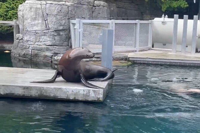 Vancouver AquariumTickets - The Sum Up