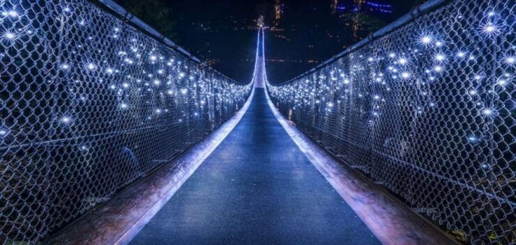 Vancouver: Attractions by Twilight Guided Tour With Dinner - Activity Details