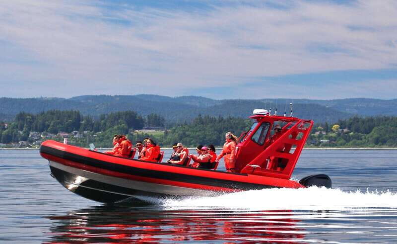 Vancouver, BC: Whale Watching Tour Small Zodiac with Guide - Practical Details and Tips