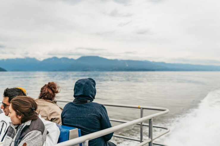Vancouver, BC: Whale Watching Tour - Free Cancellation and Refund Policy