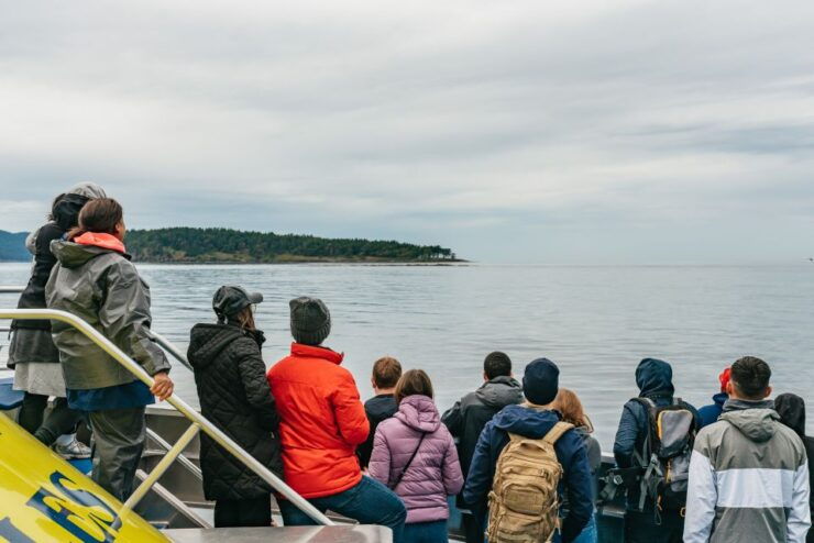 Vancouver, BC: Whale Watching Tour - Tour Duration and Availability