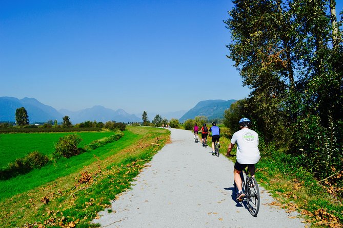 Vancouver Biking and Hiking Tour Including Lunch - Reviews and Testimonials