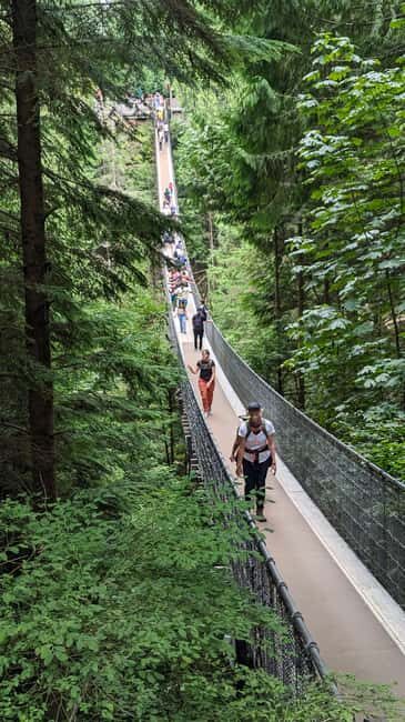 Vancouver: Capilano Bridge, Cleveland Dam & Lynn Canyon Tour - A Thorough Look at the Itinerary