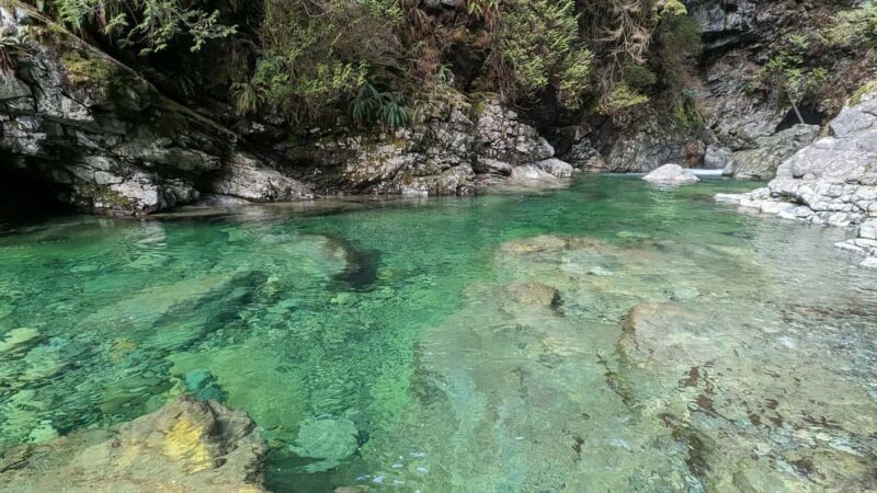 Vancouver: Capilano Bridge, Cleveland Dam & Lynn Canyon Tour - Who Is This Tour Best For?