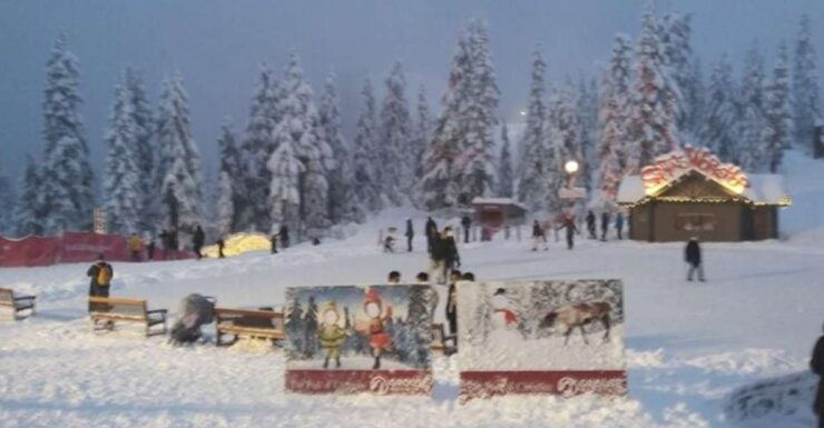 Vancouver Capilano Canyon Light&Peak of Christmas in Grouse - Activity Details