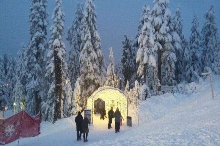 Vancouver Capilano Canyon Light&Peak of Christmas in Grouse - Booking Information