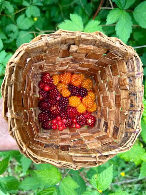 Vancouver: Capilano River Hatchery Love the Land Tour - Good To Know