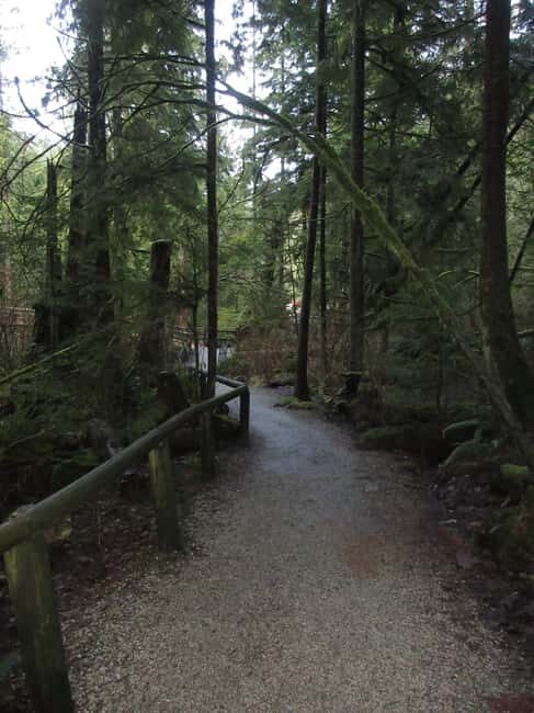 Vancouver: Capilano River Hatchery Love the Land Tour - Who Is This Tour Best For?