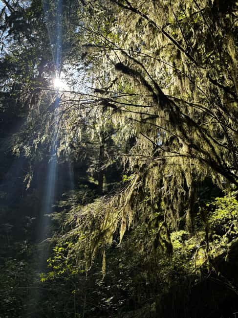 Vancouver: Capilano River Hatchery Love the Land Tour - FAQ