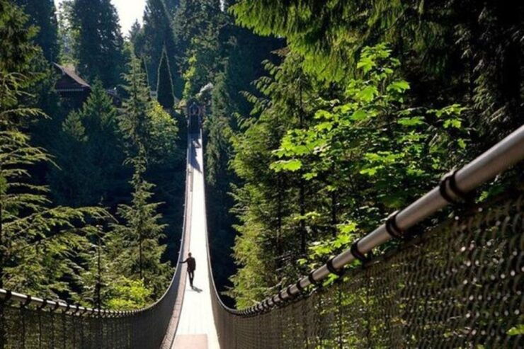 Vancouver, Capilano Suspension & Grouse Mountain Private - Location and Itinerary