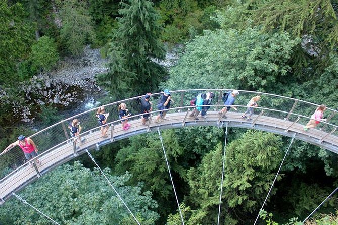 Vancouver, Capilano Suspension & Grouse Mountain Private Tour - Price and Copyright