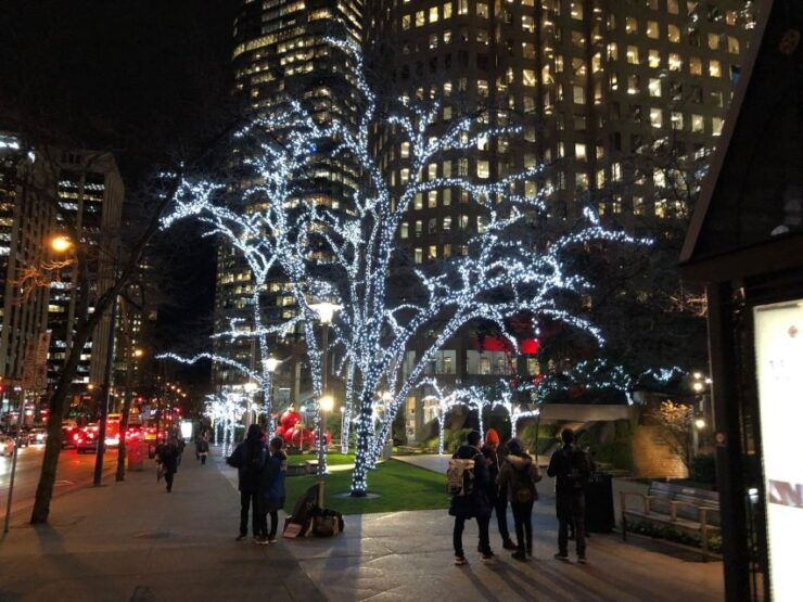 Vancouver Christmas Light Tour Private - Tour Overview