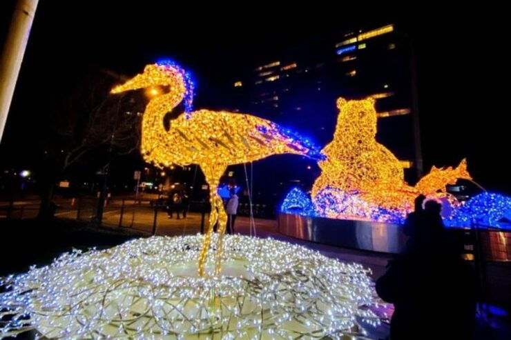 Vancouver Christmas Light Tour Private - Booking Information