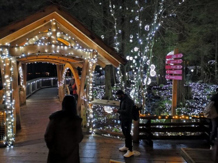 Vancouver: Christmas Tour With Light Festival Entrance - Activity Details