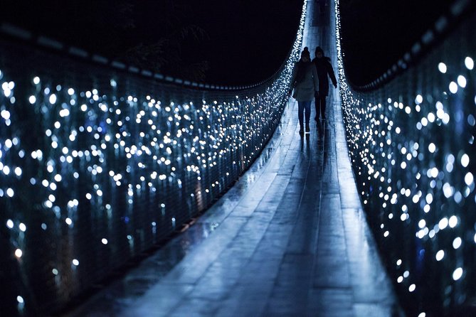 Vancouver City and Capilano Suspension Bridge Canyon Lights Tour - Desired Experience: Visiting the Bridge During the Day