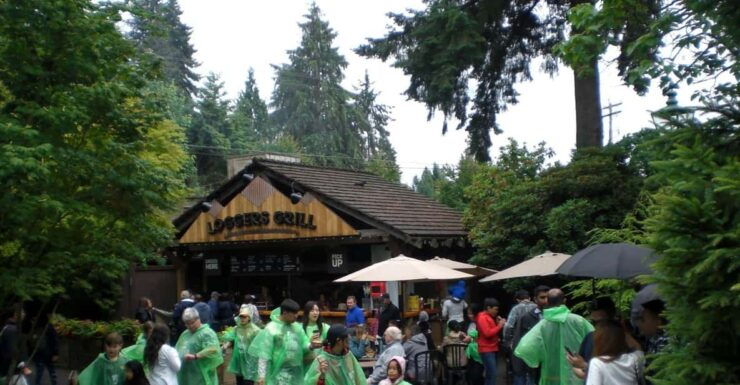 Vancouver: City and Mountain Adventure With Grouse Mountain - Good To Know