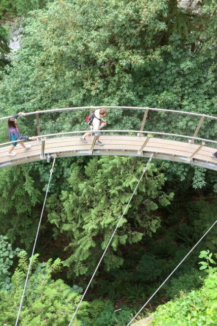 Vancouver: City and Mountain Adventure With Grouse Mountain - Hotel Pickup and Drop-off