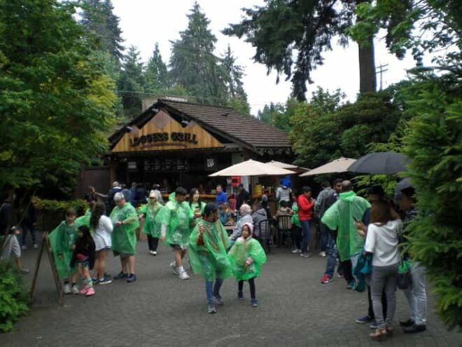 Vancouver: City and Mountain Adventure With Grouse Mountain - Important Considerations
