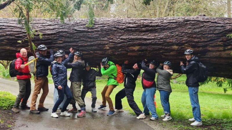 Vancouver: City Bike Tour | E-Bike Upgrade Avail. | 4-Hours - Good To Know