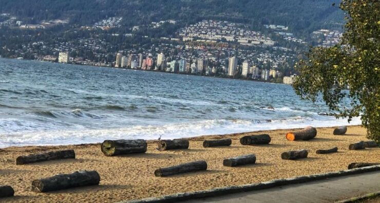 Vancouver City Grand Sightseeing Tour - Pickup and Drop-off Location
