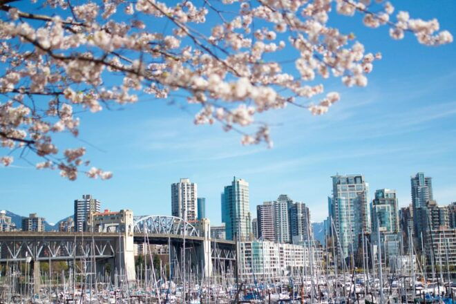 Vancouver: City & Granville Island Sightseeing Trolley Tour - Discover Granville Island