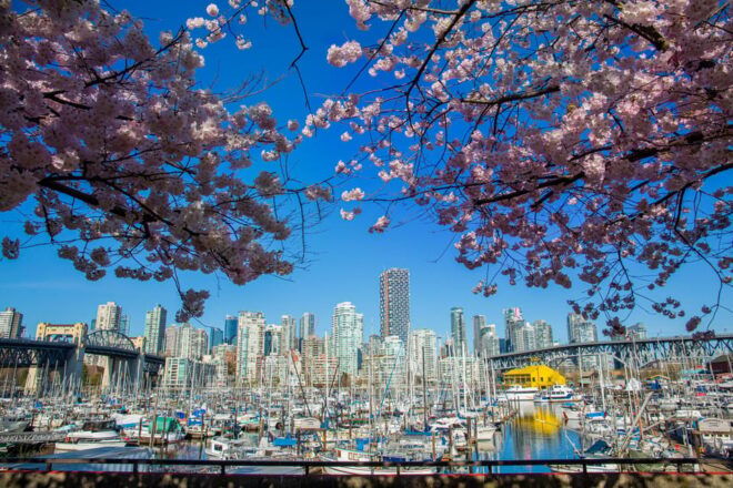 Vancouver: City & Granville Island Sightseeing Trolley Tour - Neighborhoods to Explore