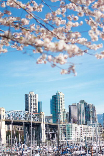 Vancouver: City & Granville Island Sightseeing Trolley Tour - Sightseeing Highlights