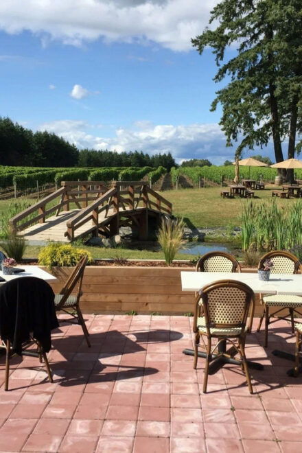 Vancouver: City Highlights and Fraser Valley Wine Tour - Wine Tasting Experiences