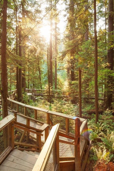 Vancouver: City Highlights Bus Tour - Important Information