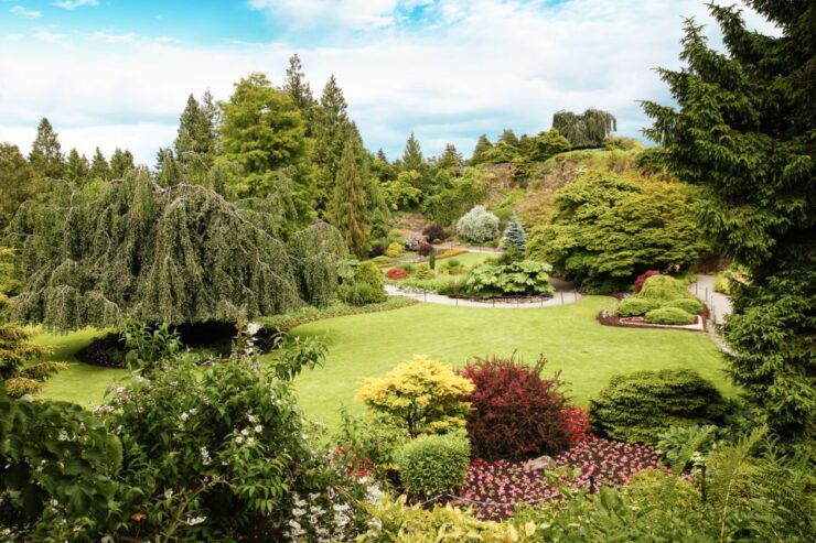 Vancouver: City Highlights Private Tour - Tour Highlights and Experiences