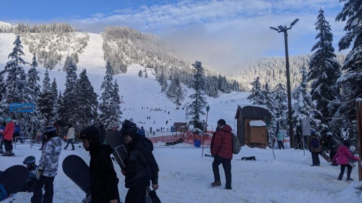 Vancouver City Tour & Adventure at Cypress Mountain Private - Booking Details