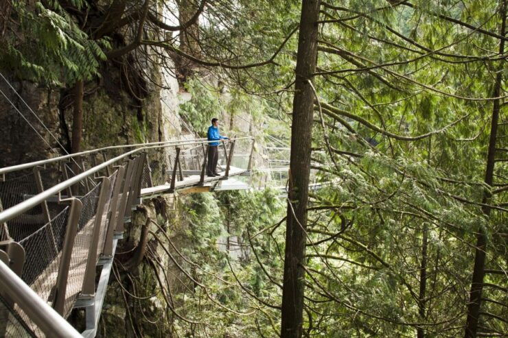 Vancouver: City Tour and Capilano Suspension Bridge Ticket - Experience Highlights