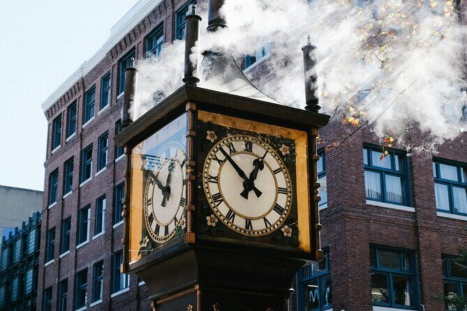 Vancouver City Tour by Bike and Ferry - Authentic Feedback from Past Participants