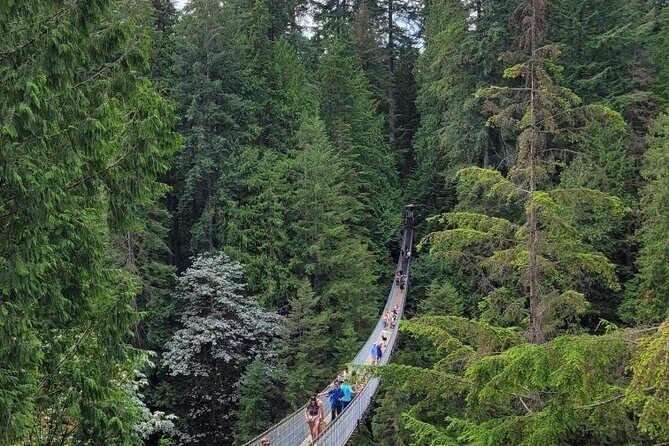 Vancouver City Tour: Capilano Bridge and Stanley Park - Good To Know