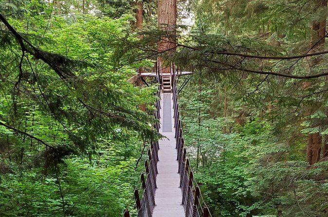 Vancouver City Tour: Capilano Bridge and Stanley Park - The Sum Up