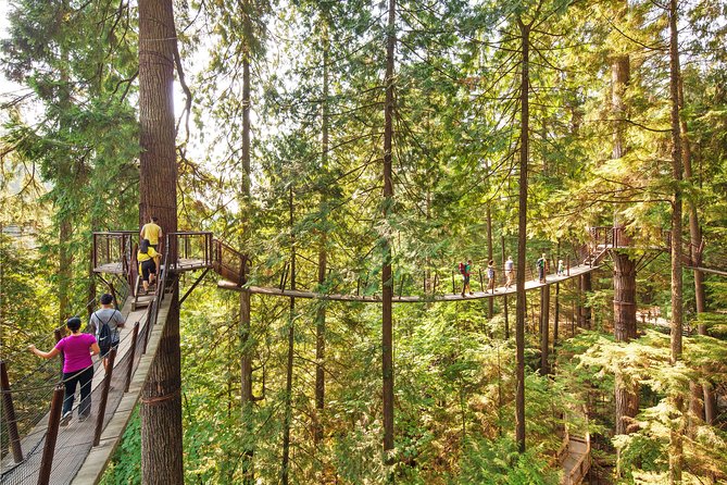 Vancouver City Tour Including Capilano Suspension Bridge - Overview and Highlights